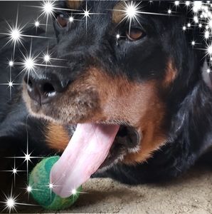 Meet your Posher, Suzanne